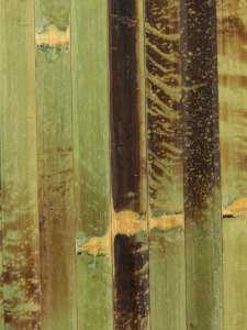 Bambusový obklad z vonkajšej kôry bambusu